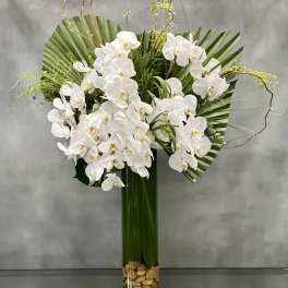 Touch the Sky - Sherman Oaks Florist