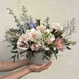 Blush Harmony