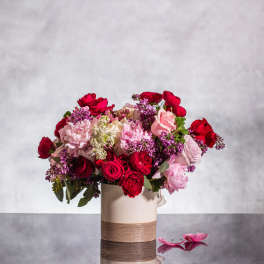 Introducing our Seductive Blooms - Pasadena Florist