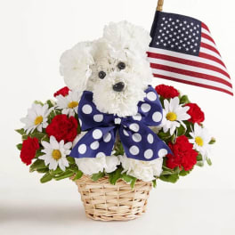 Yankee Doodle Doggie™