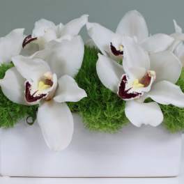 Debonair - Pasadena Florist