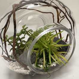 Infinity Terrarium
