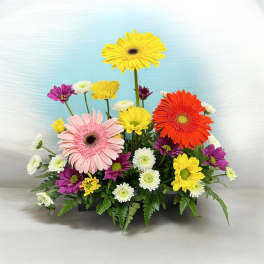 Colorful gerbera daisy arrangement in a low rectangular container