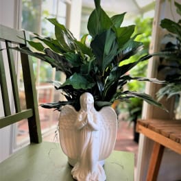 Potted green houseplant in a white angel-shaped ceramic planter