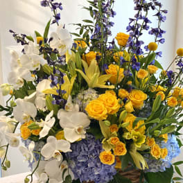Basket arrangement of white orchids, yellow roses, and blue hydrangeas