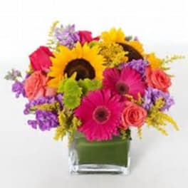 Bright mixed bouquet with sunflowers, pink gerbera daisies, and roses in a square glass vase