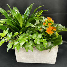 Mixed green potted plants with orange flowers in a rectangular planter