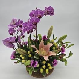 Purple orchids and a peach lily arranged in a low round container
