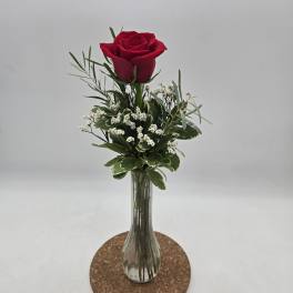 Single red rose in a clear glass vase with small white filler flowers