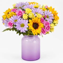 Lavender Sunrise Garden