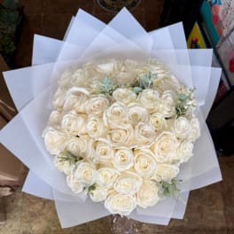 Pearl White Roses