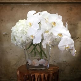 White orchids and hydrangeas in a clear glass vase with seashells
