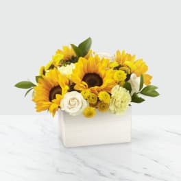 Sunflower and white rose arrangement in a white box