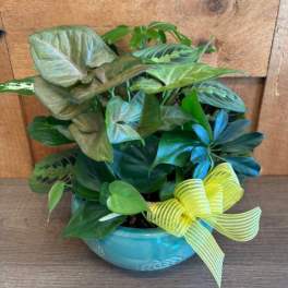 Ceramic Garden Planter