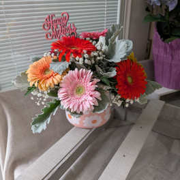 Mothers Day Gerbera Special
