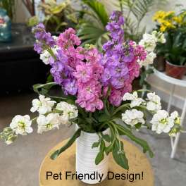 Pink, purple, and white flowers arranged in a white vase