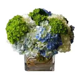 Arrangement of blue, green, and white hydrangeas in a square glass vase