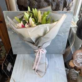 The Lily Collection