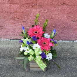 Pink gerbera daisy arrangement in a wooden box with a green ribbon