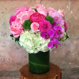 Lovely Flowers