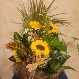 Basket arrangement with sunflowers and mixed greenery