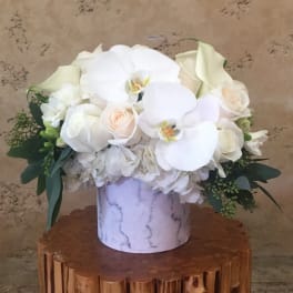 White Orchids and Roses
