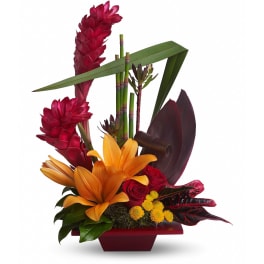 Teleflora's Tropical Bliss