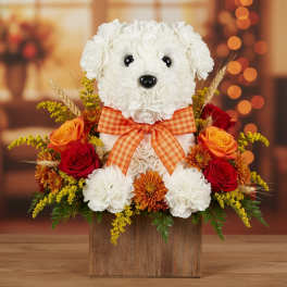 White floral teddy bear with roses and an orange plaid bow in a wooden box