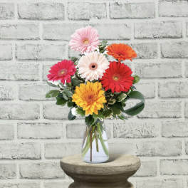Colorful gerbera daisy bouquet in a clear glass vase