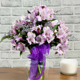 Oh So Lovely (Purple) FG207P