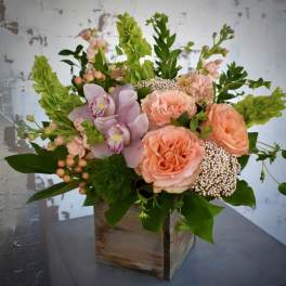 Blush Riviera
