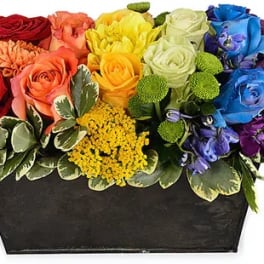 Rainbow rose arrangement in a black rectangular container
