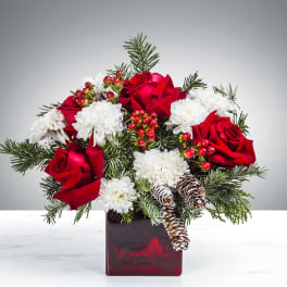 Red roses and white mums with evergreens and pinecones in a red glass cube vase.