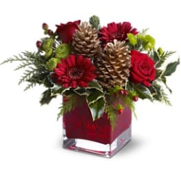 Red roses and gerbera daisies with pinecones and green accents in a red glass cube vase