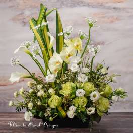 White and green floral arrangement with orchids, roses, and calla lilies in a black container