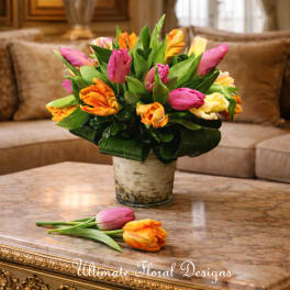 Spring Tulip Burst