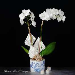 Vintage Orchid