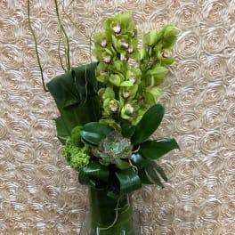 Tall green orchid arrangement in a glass vase with broad leaves and succulents