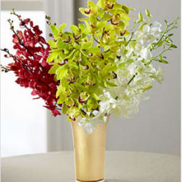 Good as Gold Luxury Orchid Bouquet