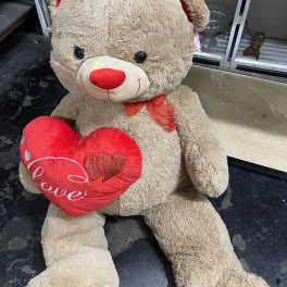 Super size Bear
