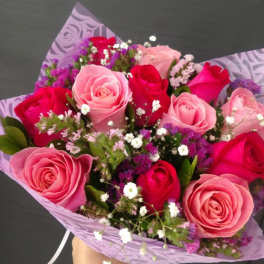 ray of pinks