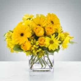 Yellow flowers arranged in a clear square vase