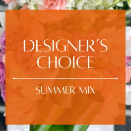 Designer's Choice - Summer Mix