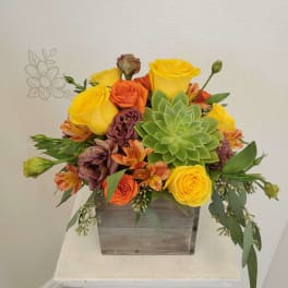 Bouquet of yellow and orange roses with a green succulent in a wooden box