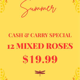 Cash & Carry Roses