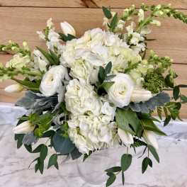 Elegant white
