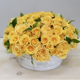 Bright Yellow Roses - WeHo