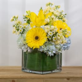 Cottage Garden