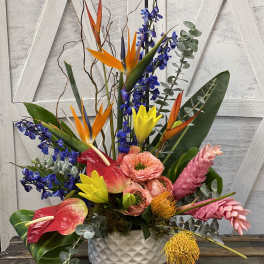 Tropical Tribute
