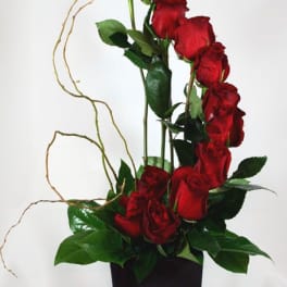 Tall arrangement of red roses in a black vase with curly branches
